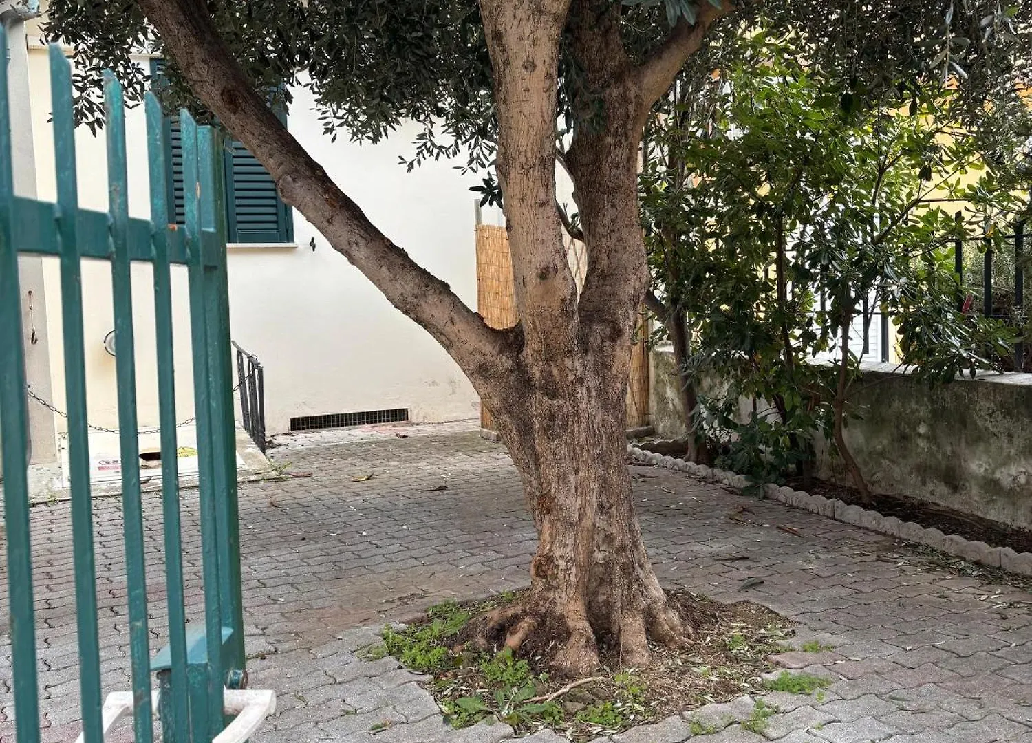 L'Olivo A 50M Dal Mare Villa San Vincenzo